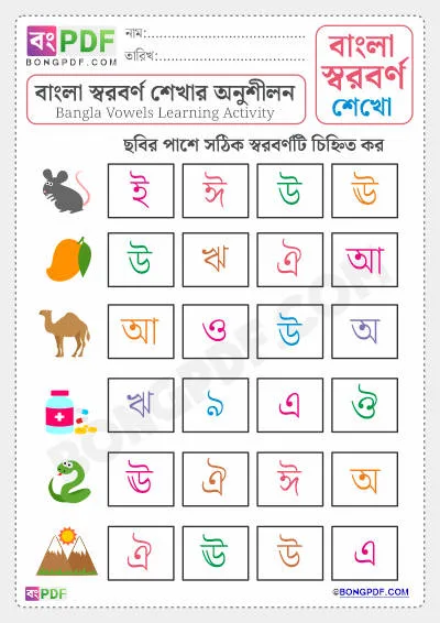 Free Bengali Vowels Activity PDF Worksheet Download