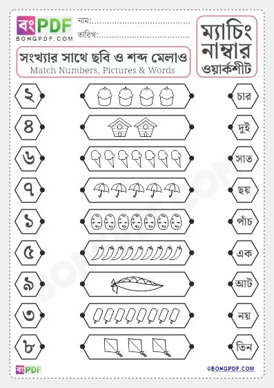 Free Match Pictures Numbers and Words Bengali Worksheet PDF Download